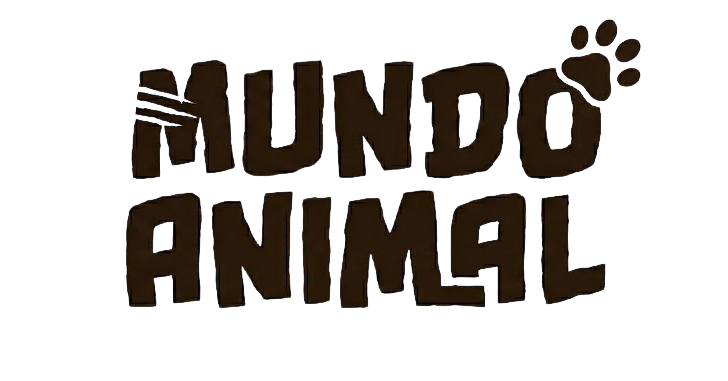 Mundo Animal
